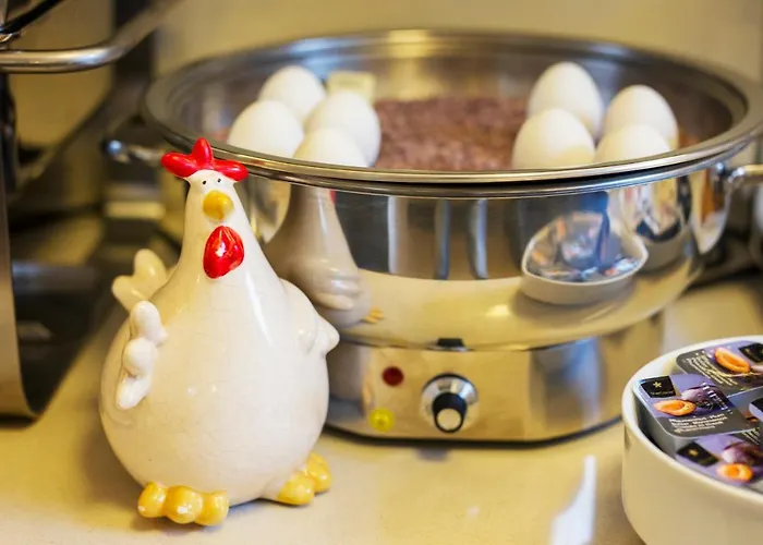 فندق Fruehstueckshotel 3*